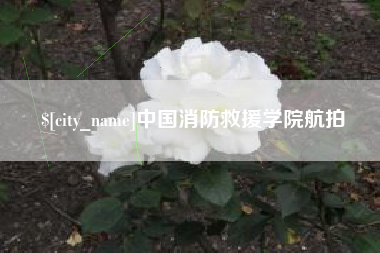 禹城中国消防救援学院航拍
