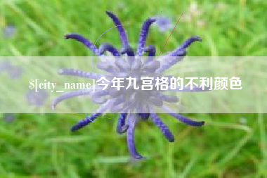 禹城今年九宫格的不利颜色