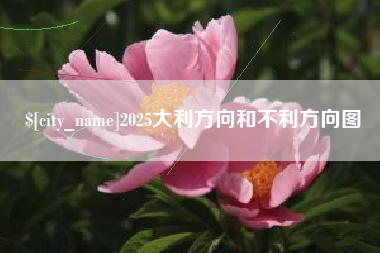 禹城2025大利方向和不利方向图