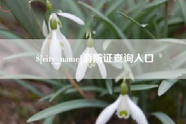 禹城消防证查询入口