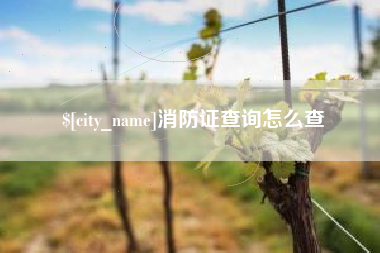 禹城消防证查询怎么查