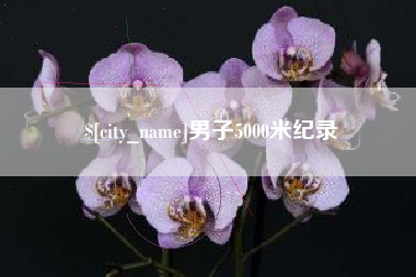 禹城男子5000米纪录