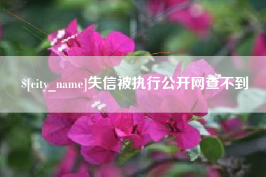 禹城失信被执行公开网查不到