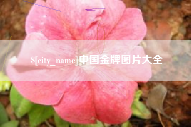禹城中国金牌图片大全