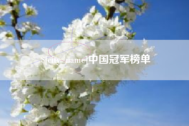 禹城中国冠军榜单