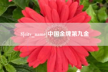 禹城中国金牌第九金