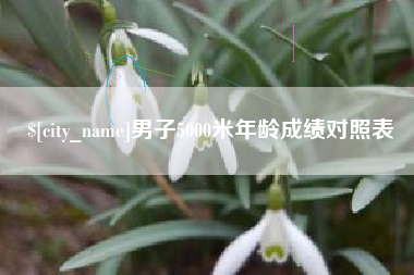 禹城男子5000米年龄成绩对照表