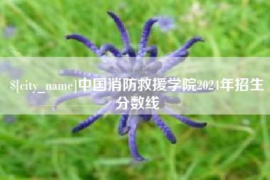 禹城中国消防救援学院2024年招生分数线