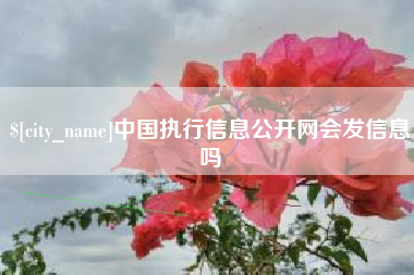 禹城中国执行信息公开网会发信息吗