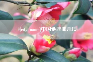 禹城中国金牌哪几项