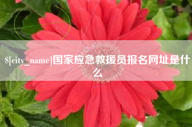 禹城国家应急救援员报名网址是什么