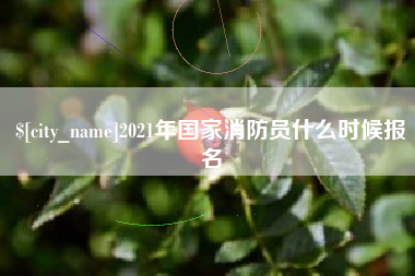 禹城2021年国家消防员什么时候报名