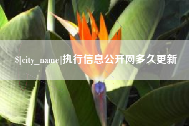 禹城执行信息公开网多久更新