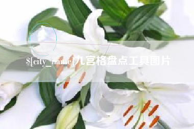 禹城九宫格盘点工具图片