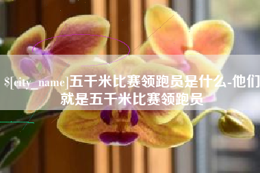 禹城五千米比赛领跑员是什么-他们就是五千米比赛领跑员