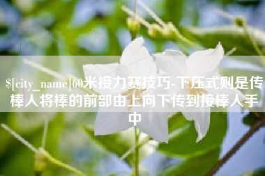 禹城60米接力赛技巧-下压式则是传棒人将棒的前部由上向下传到接棒人手中