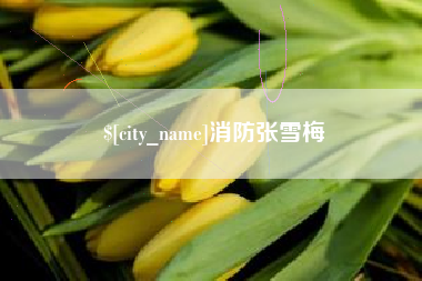 禹城消防张雪梅