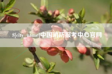 禹城中国消防报考中心官网