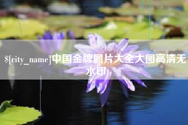 禹城中国金牌图片大全大图高清无水印