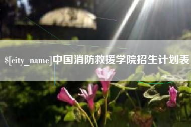禹城中国消防救援学院招生计划表