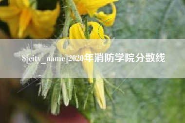 禹城2020年消防学院分数线