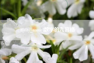 禹城数字的九宫格