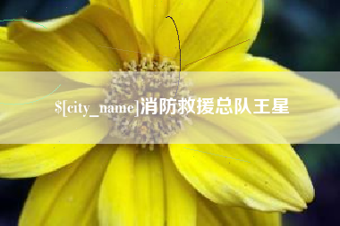 禹城消防救援总队王星