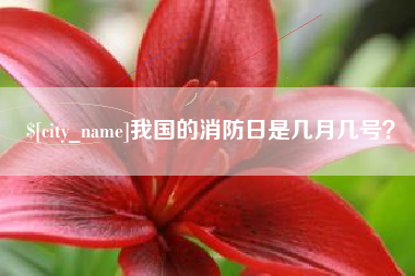 禹城我国的消防日是几月几号？
