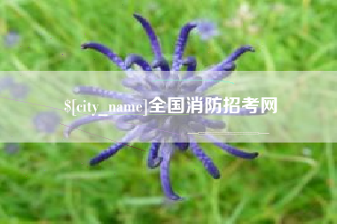 禹城全国消防招考网