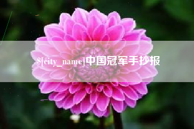 禹城中国冠军手抄报