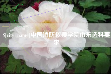禹城中国消防救援学院山东选科要求
