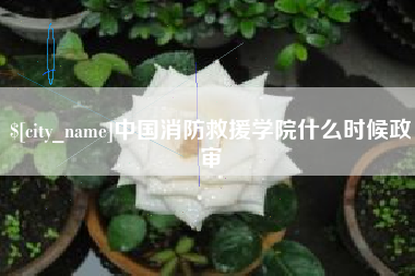 禹城中国消防救援学院什么时候政审
