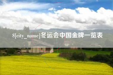 禹城冬运会中国金牌一览表