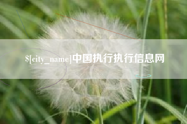 禹城中国执行执行信息网