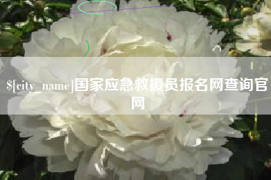 禹城国家应急救援员报名网查询官网
