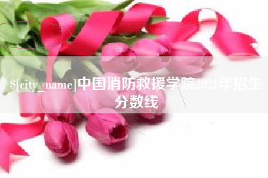 禹城中国消防救援学院2021年招生分数线