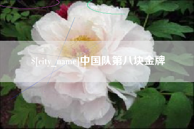 禹城中国队第八块金牌