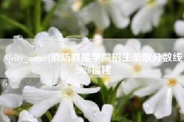 禹城消防救援学院招生录取分数线2020福建