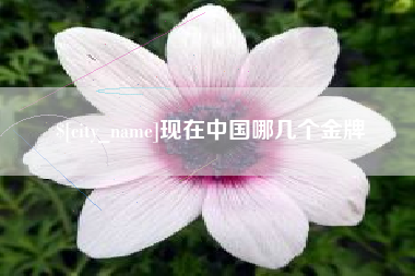 禹城现在中国哪几个金牌