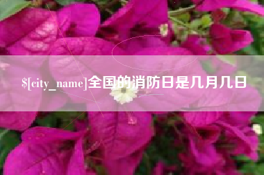 禹城全国的消防日是几月几日