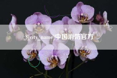 禹城中国消防官方