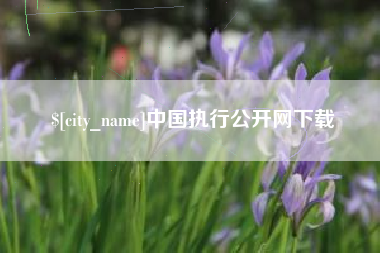 禹城中国执行公开网下载