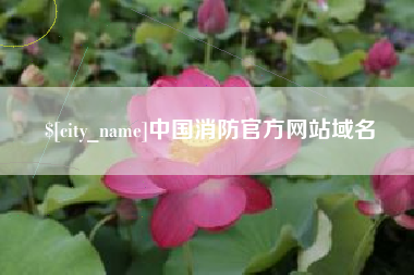禹城中国消防官方网站域名