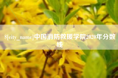 禹城中国消防救援学院2020年分数线