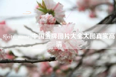 禹城中国金牌图片大全大图真实高清