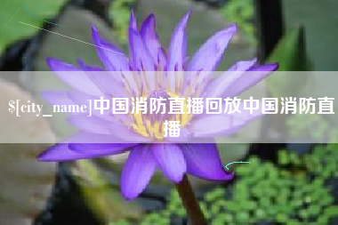 禹城中国消防直播回放中国消防直播