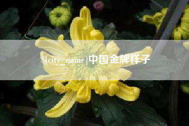 禹城中国金牌样子