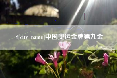 禹城中国奥运金牌第九金