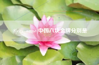 禹城中国六块金牌分别是