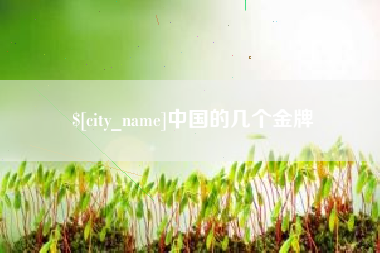 禹城中国的几个金牌